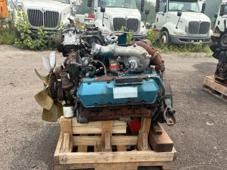 International T444E (7.3L)